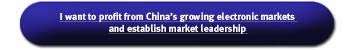 I want to profit from China's growing electronic 
markets and establish market leadership